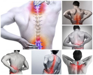 Read more about the article Pilates giúp giảm đau lưng hiệu quả như thế nào?