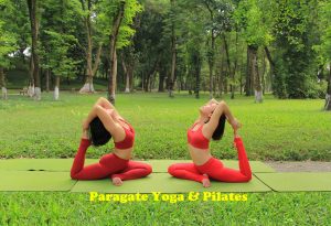 Read more about the article Những nguyên tắc tập yoga người mới bắt đầu cần tuân theo